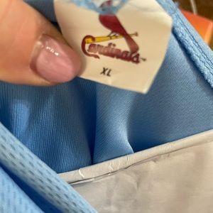 Shane & Co cardinals short sleeve hoodie